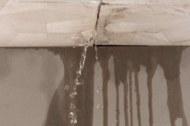 Professional Burst Pipe Cleanup technician working in Waban, MA